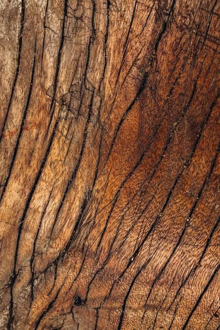 Wood carrying marks of a previous life